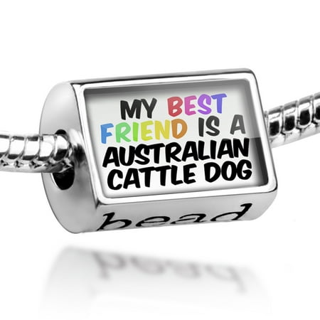 Bead My best Friend a Australian Cattle Dog from Australia Charm Fits All European