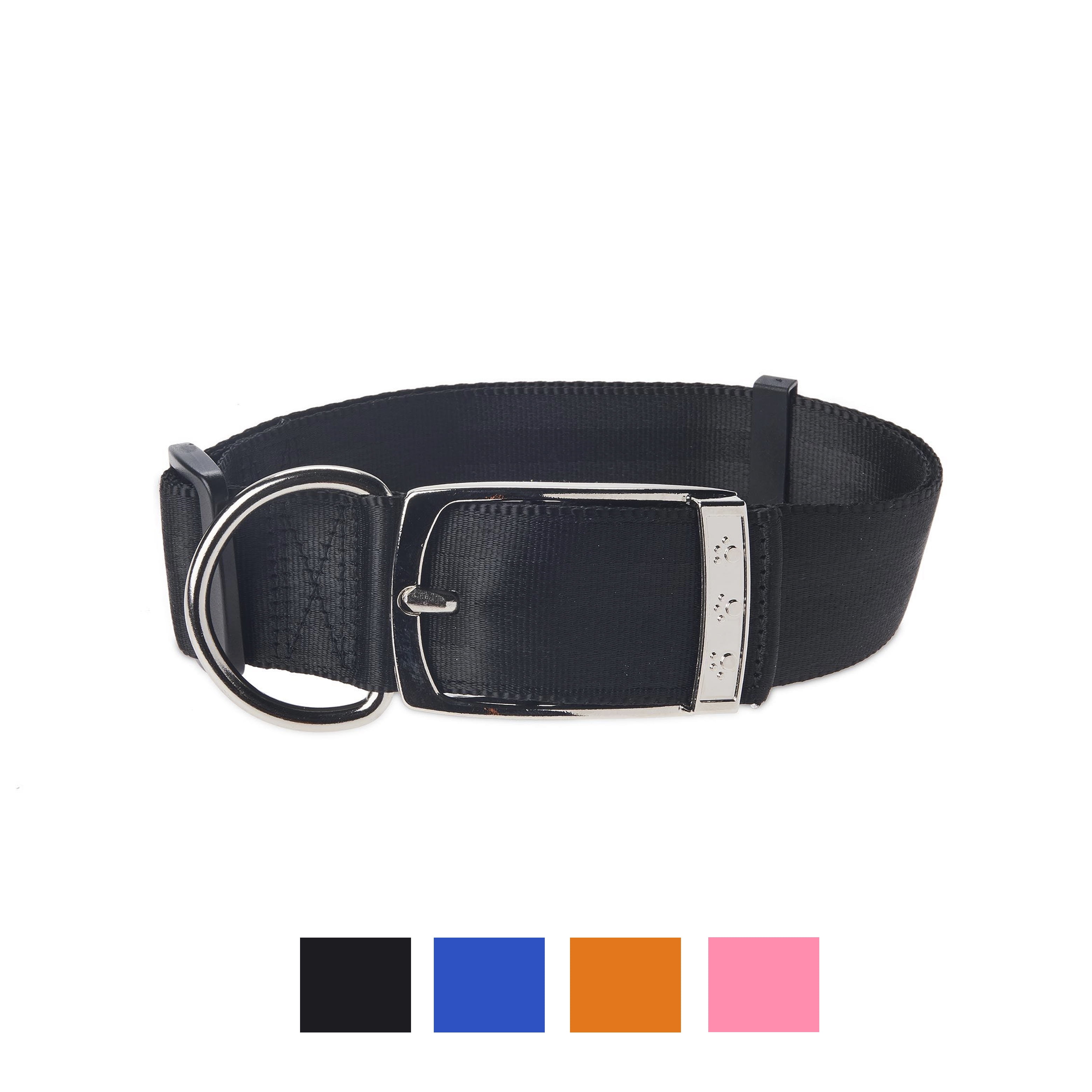 nylon dog collar with metal buckle