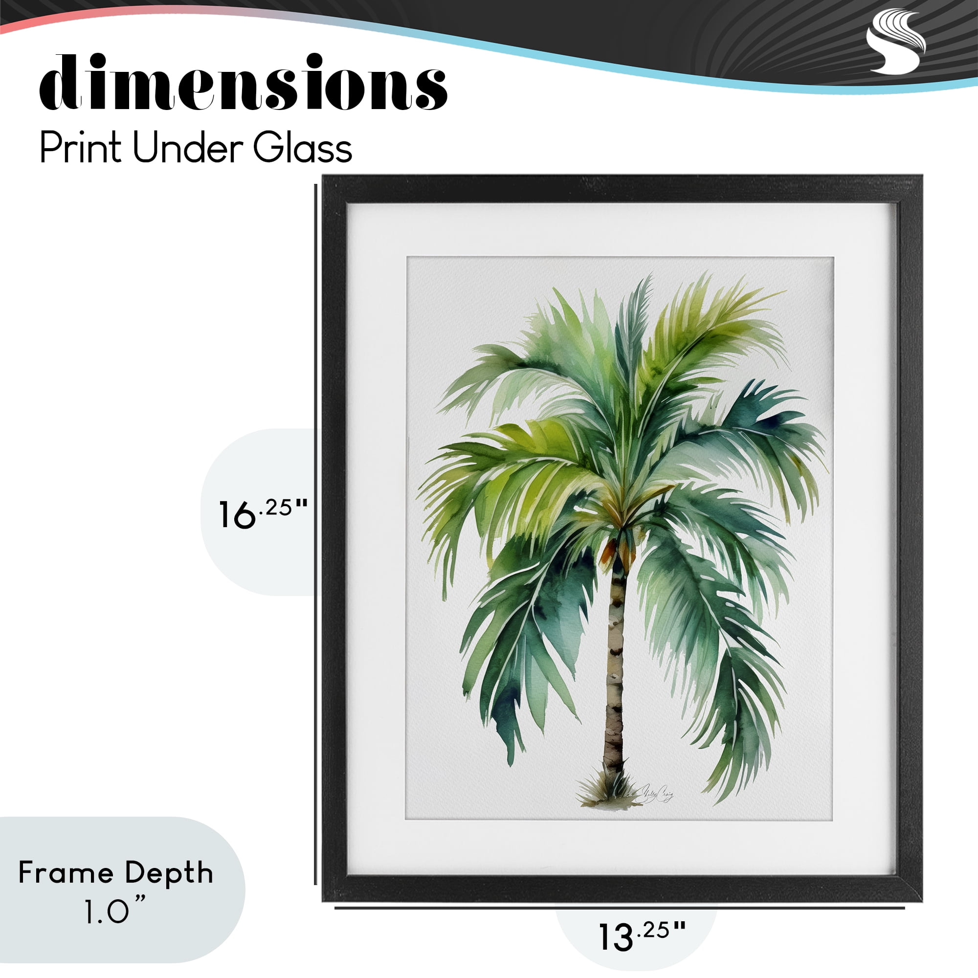 Stupell Industries Lagoon Majesty Palm Black Framed Print Under Glass, design by Shelly Craig
