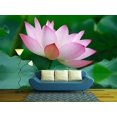 thumbnail image 1 of wall26 - Close-up of beatiful pink lotus - Removable Wall Mural | Self-adhesive Large Wallpaper - 66x96 inches, 1 of 5