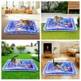 thumbnail image 5 of Clearance! Water Sensory Playmat for Cats,Cat Toys for Bored Indoor Cats, Cat Kicker Toys Self Play Mat,Interactive Toys for Cats to Play Alone, 5 of 7