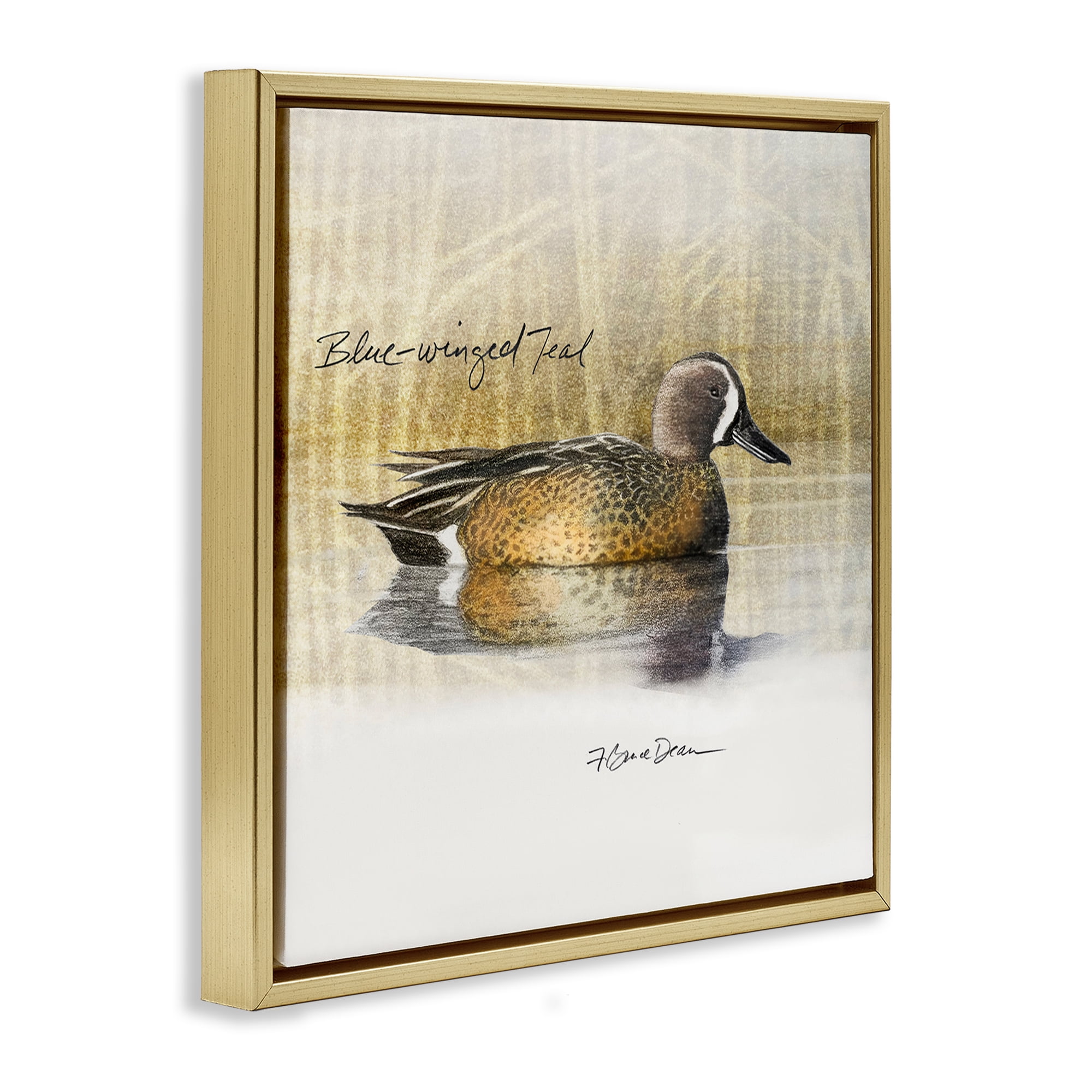 Stupell Industries Blue Winged Teal Duck Animals Painting Gold Floater Framed Canvas Art Print Wall Art, 18 x 18