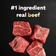 thumbnail image 2 of Casar Home Delights Beef Stew Wet Dog Food Adult, 3.5 Oz, 2 of 8