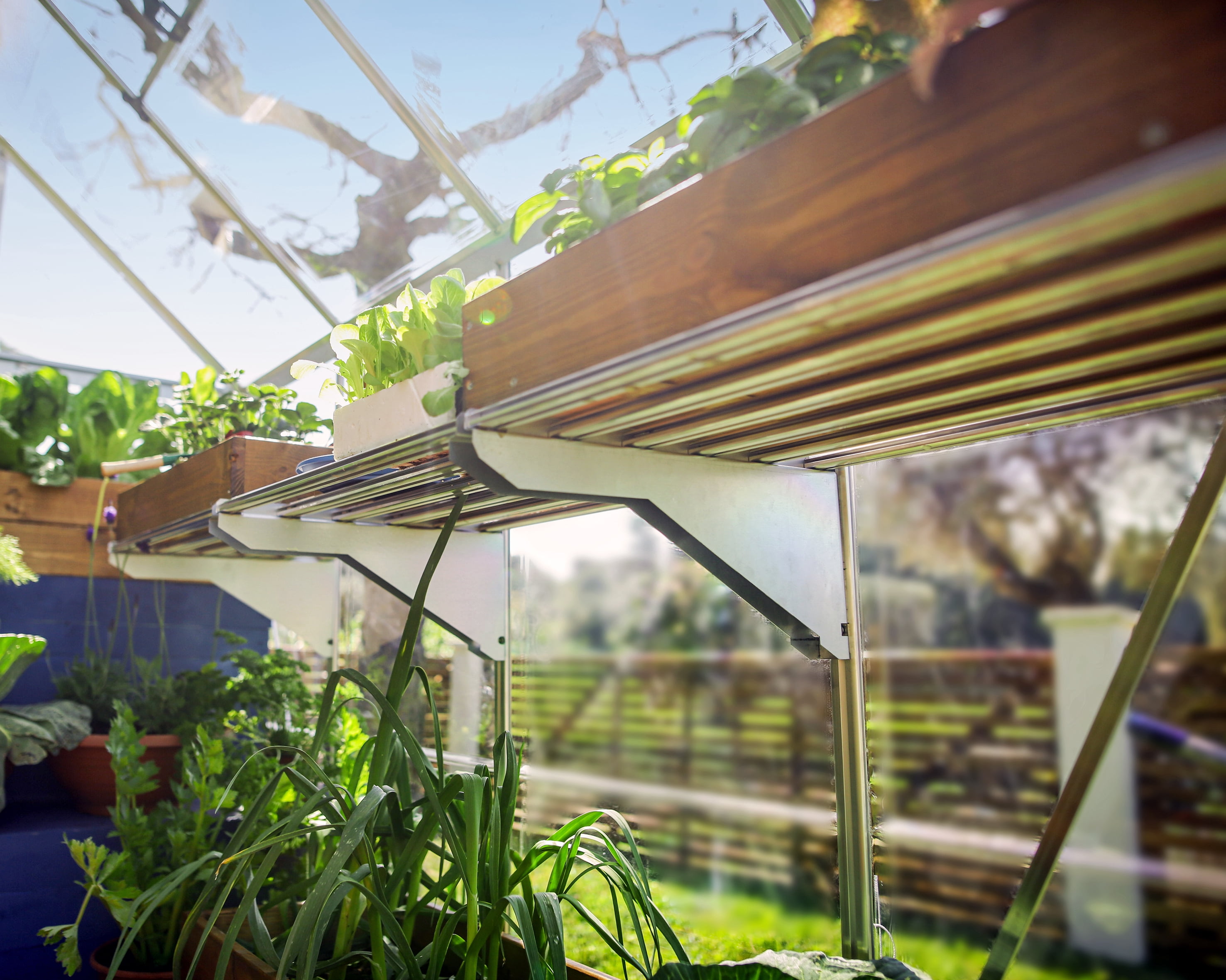 Palram - Canopia Heavy Duty Greenhouse Shelf Bundle (4 Shelves)