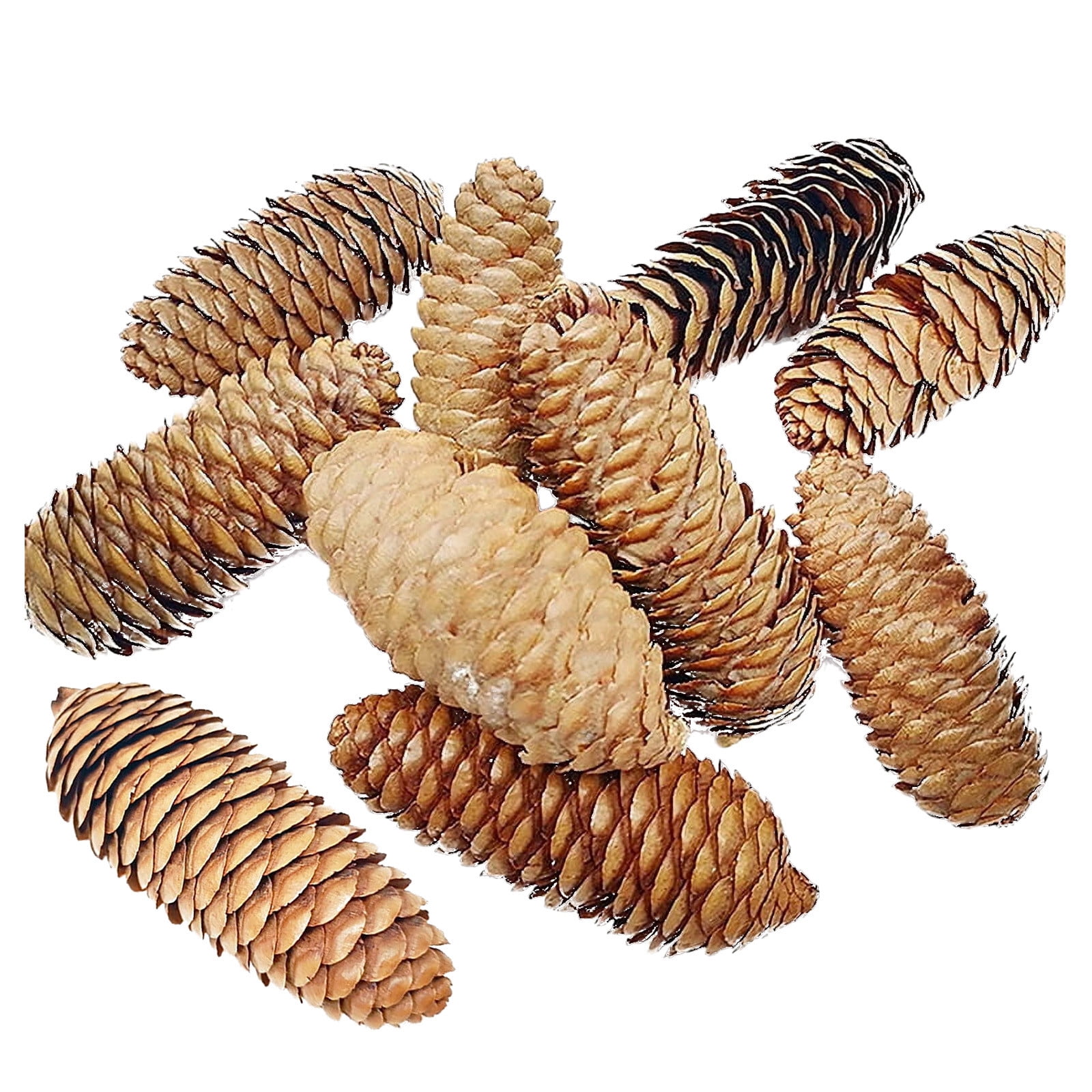 ¡Gran oferta! Decoraciones de piñas rústicas, 10 Uds., piñas naturales ...