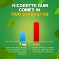 thumbnail image 4 of (2 pack) Nicorette Nicotine Gum, Stop Smoking Aids, 4 Mg, Spearmint Burst, 160 Count, 4 of 22