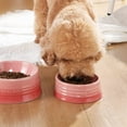 thumbnail image 4 of SWEEJAR Ceramic Puppy Bowl,Porcelain Pet Bowl for Food and Water,8 oz,Gradient Pink, 4 of 6