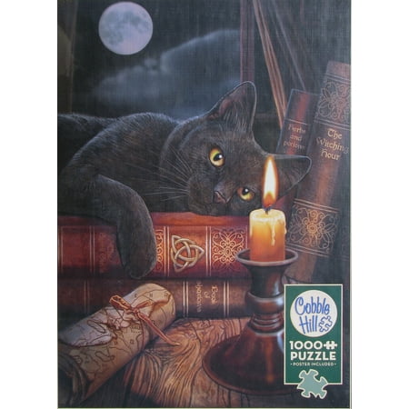 Cobble Hill THE WITCHING HOUR 1000 pc Jigsaw Puzzle Library Black Cat