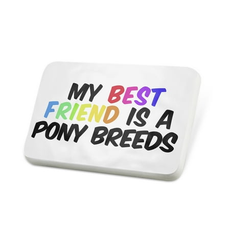 Porcelein Pin My best Friend a Pony breeds, Horse Lapel Badge – (The Best Horse Breed)