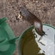 thumbnail image 4 of Protector de Granja de Jardín, Casa de Babosas, Repelente de Plagas de Animales, Trampa para Caracoles, Atrapasueños, Herramientas, Jaula Ecológica, 4 of 5