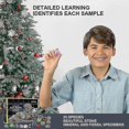 thumbnail image 3 of Calendrier de l'Avent en Cristal pour Enfants avec Collections de Roches Galets Polis Noël_Perfect Gift, 3 of 3