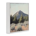 thumbnail image 3 of Stupell Industries Tucson Mountain Landscape White Framed Giclee Art, design by Petal Prints Design, 3 of 8