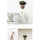 thumbnail image 2 of Billuyoard Colgador de plantas de macramé hecho a mano, transpirable, degradable, amplia aplicación, transmisible de luz Jardín y Patio cesta 160g 101.6 cm, 2 of 6