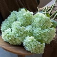 thumbnail image 3 of 3PCS 22 inch Lifelike Artificial Hydrangea Large Real Touch Flowers Artificial Flowers Dry Flowers Outdoor Wedding Christmas Office Family Party Living Room Table Decoration (Light Green), 3 of 7
