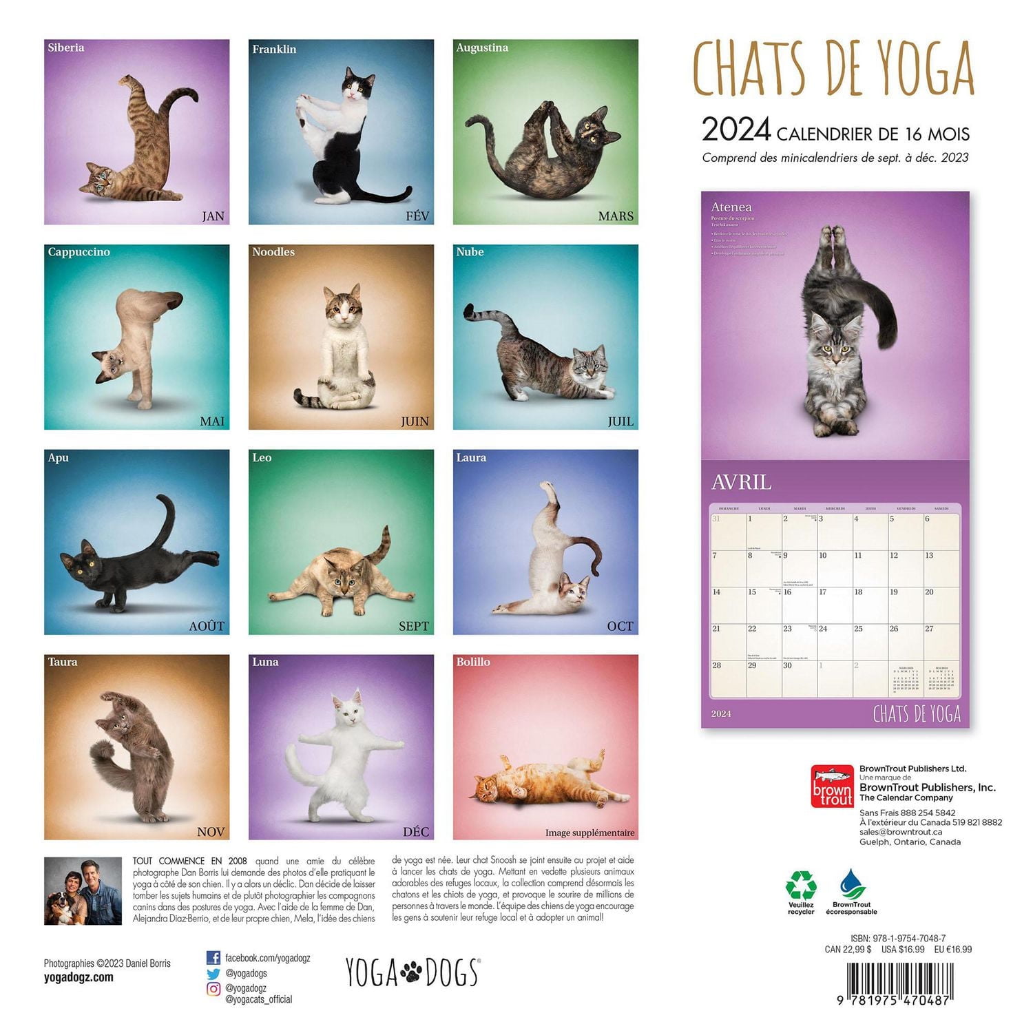BrownTrout Chats de Yoga OFFICIEL 2024 Mur Carré 30.48x60.96 CM, 9781975470487