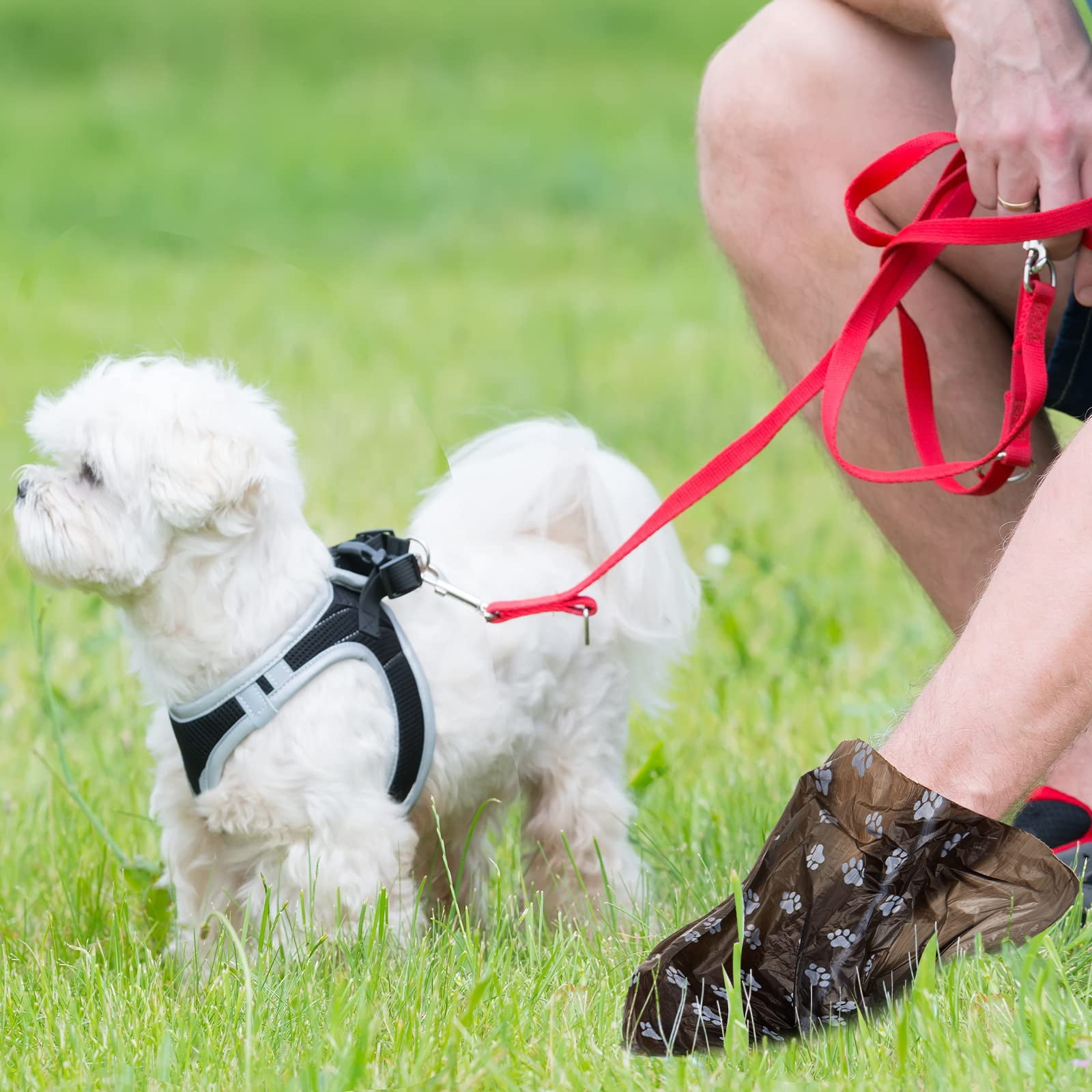 3000 Counts 200 Rolls Dog Poop Bag Plastic Waste Bags Disposable For Doggie Pets Outdoor Walking Travel Mixed Colors(paw Print Style)