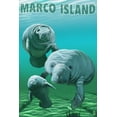 thumbnail image 3 of Marco Island, Manatees (100% Cotton Canvas Reusable Tote Bag), 3 of 3