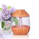 thumbnail image 3 of Humidificador Zulema Madera clara Mini humidificador de aire 700ml, 3 of 8