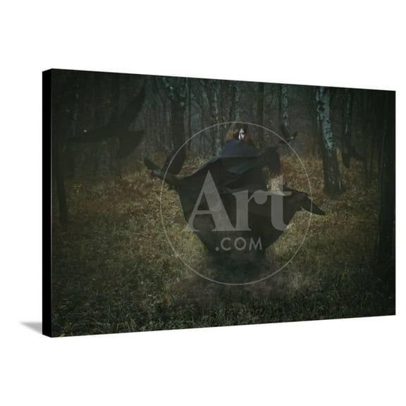 Witch of the Forest with Her Crows Dark Fantasy and Magic, Figurative Stretched Canvas Wall Art by CaptBlack76 Sold by Art.Com