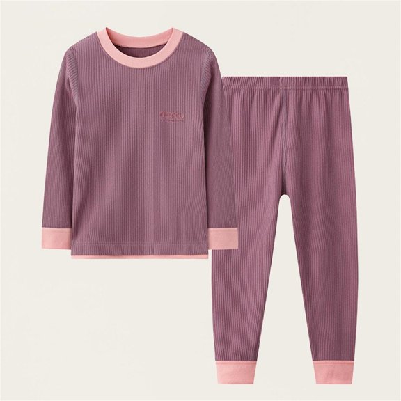 PInxai Fall 2 Piece Sets for Kids Clothing Color Block Round Neck Long Sleeve Tops Elastic Waisted Pants Comfy Homewear Sets,Purple,14 Years
