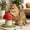 A, variant on Sisal Cat Scratching Post,Scratching Posts for Indoor Cats,Mushroom Cat Scratching Post for Kitten & Small Cats, Mini Cat Tree Stable Base, Natural Sisal Scratcher with Hanging Ball(A)
