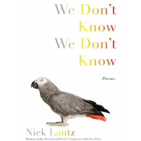 We Don't Know We Don't Know, (Paperback)