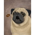 thumbnail image 2 of Fab Funky 12x14 White Modern Wood Framed Museum Art Print Titled - Pug, Catch 1, 2 of 4