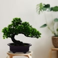 thumbnail image 5 of LABSERRON Lifelike Shape Desktop Bonsai Tree Simulation Bonsai Plastic Decoration 1Set, 5 of 8