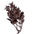 thumbnail image 2 of Vickerman 59" Brown Artificial Eucalyptus Garland., 2 of 5