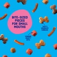 thumbnail image 5 of Kibbles 'n Bits Mini Bits Small Breed Dry Dog Food Savory Beef & Chicken, 3.5 lb. Bag, 5 of 10