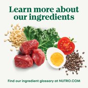 NUTRO NATURAL CHOICE Lamb & Brown Rice, Dry Dog Food for Healthy Weight Adult Dog, 30 lb. Bag