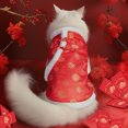 thumbnail image 3 of Pet Winter Coat Material Tang Clothing Dog Winter Clothing Cheongsam Clothing Tang Cat Dress Dog Wool Jacket Suitable For Cold Weather Pet Clothes Rack Hanger Pet Clothes Hangers Pet Clothes Hangers, 3 of 8