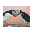 thumbnail image 2 of Funny Atlantic Puffin Silly Atlantic Puffin Couple Wall Art Ready to Hang, 2 of 18