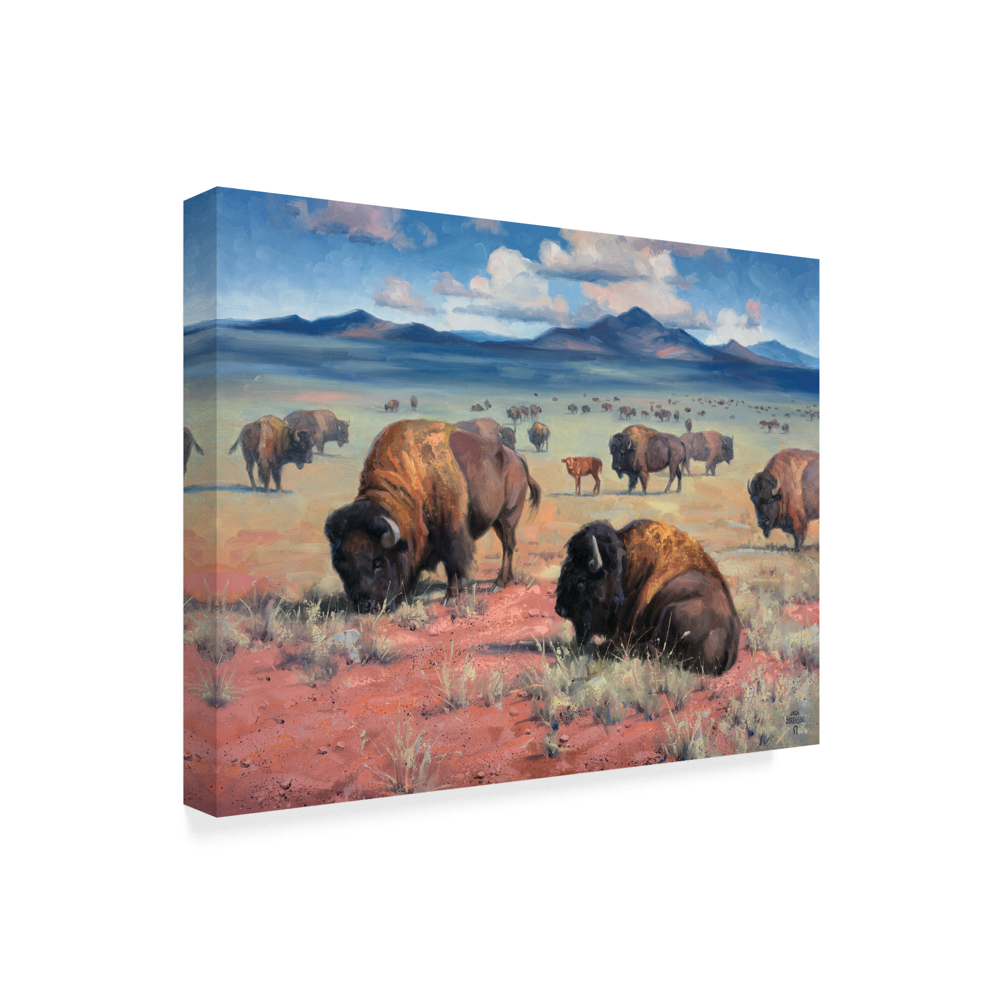 Home on the Range' Canvas Art by Jack Sorenson