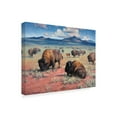 Trademark Fine Art 'Home on the Range' Canvas Art by Jack Sorenson