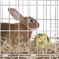 thumbnail image 4 of AIHOME Rabbit Chew Ball Chewable Teething Toys Timothy Grass Chew Ball Small Animal Activity Play Chew Toys for Bunny Rabbits Hamster Guinea Pigs, 4 of 9