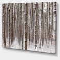 thumbnail image 2 of Dense Pine Forest in Winter - Landscape Canvas Art Print, 2 of 4