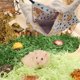 thumbnail image 4 of Hamaca colgante para animales pequeños, jaula tipo litera para hurones, juguete para hámster, 4 of 7