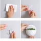 thumbnail image 3 of unbranded 4Ud Maceta De Pared Para Con Adhesivos En Material Resistente, 3 of 8