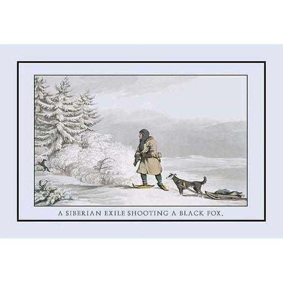 A Siberian Exile Prepares To Shoot A Black Fox-Fine Art Canvas Print (20" x 30")