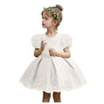 thumbnail image 2 of WOYY Newborn Girls Short Sleeve Bow Embroidery Evening Dress Party Pageant Gown, Sizes 6M-5T, 2 of 5