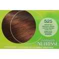 thumbnail image 4 of Garnier Nutrisse Permanent Haircolor, 4 of 5