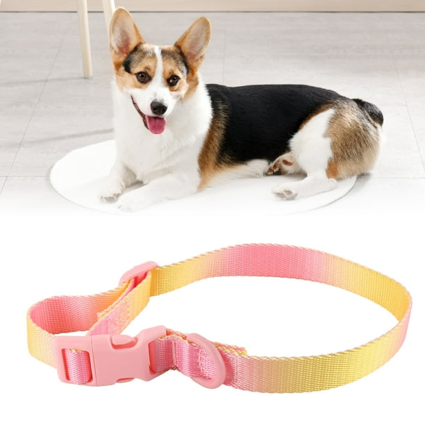 Collar de perro collar de perro duradero y elegante para senderismo para acampar ANGGREK Otros