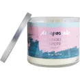 thumbnail image 1 of AEROPOSTALE MAGNOLIA & GRAPEFRUIT AEROPOSTALE MAGNOLIA Y POMELO de Aeropostale, VELA 14.5 OZ, 1 of 5