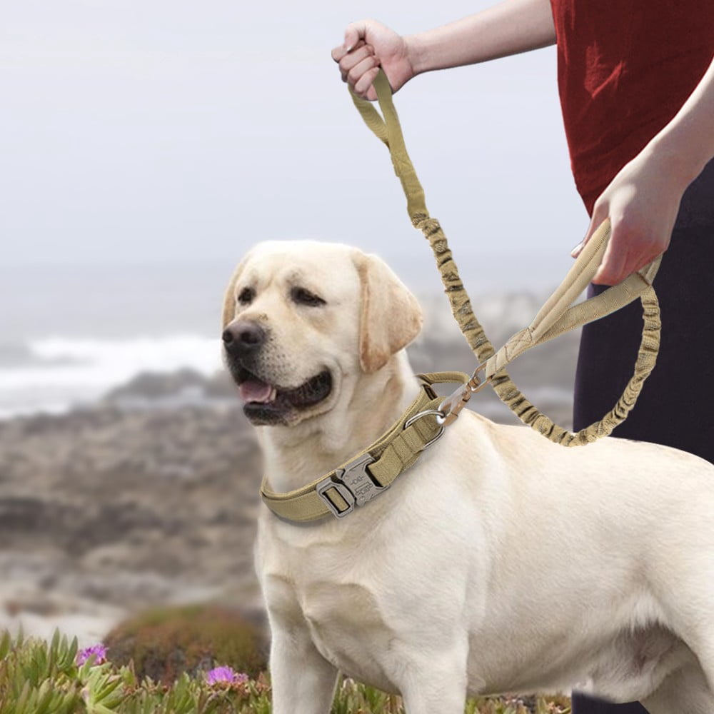 Pet Artist Tactical Nylon Large Dog Collars and Bungee Leash set Military Heavy Duty Metal Buckle M L XL