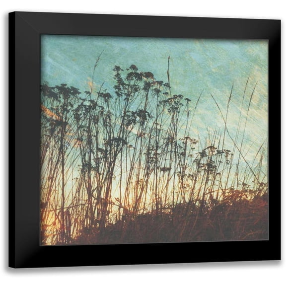 Melious, Amy 12x12 Black Modern Framed Museum Art Print Titled - Wild Grass I