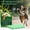 A, variant on Cat Repellent Balls for Indoor & Outdoor Use - 10 PCS Natural Mint & Lemon Scent Cat Deterrent for Furniture, Gardens, and Christmas, Non-Toxic Stop Scratching & Digging Protector