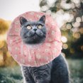 thumbnail image 3 of Anti-scratch Pet Collar Cat After-surgery Collar Pet Recovery Collar Pet Neck Circle, 3 of 8