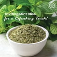 thumbnail image 5 of Pride of India Mint Leaf Whole Cut & Sifted for Convenience of Use Good for Culinary Uses Ideal for Tea/Beverages Easy to Use 0.4 oz. Small Dual Sifter Bottle, 5 of 8