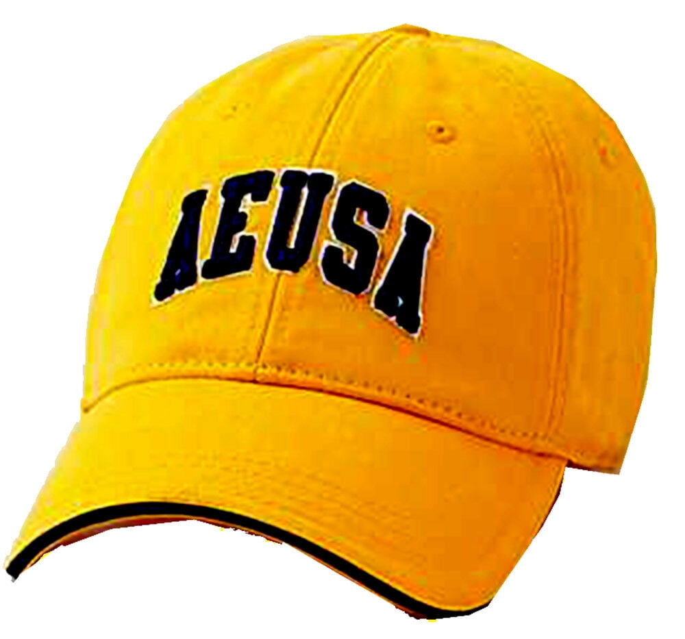 american eagle hats mens